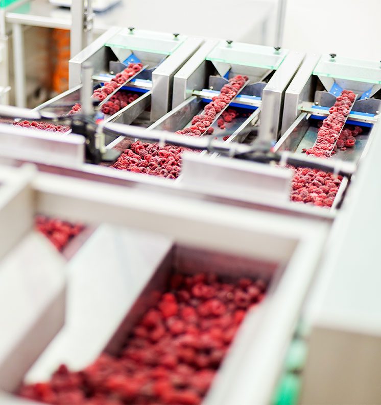 All-Tech-Electrical-Services-For-Food-Processing-Plant-Systems All-Tech-Electrical-Services-For-Food-Processing-Plant-Systems