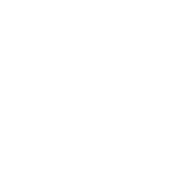 Bridgestone