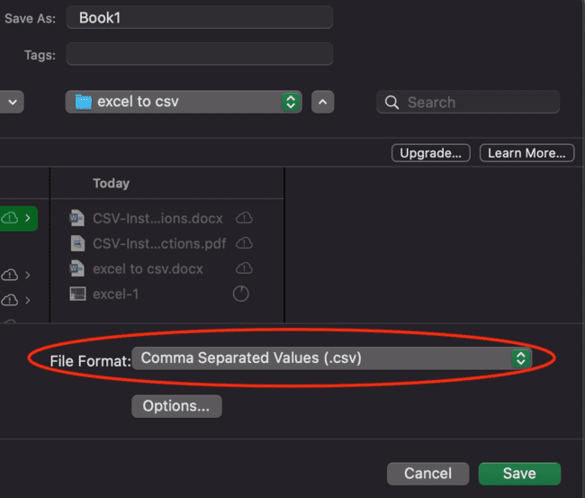 Choosing CSV formatting excel on mac