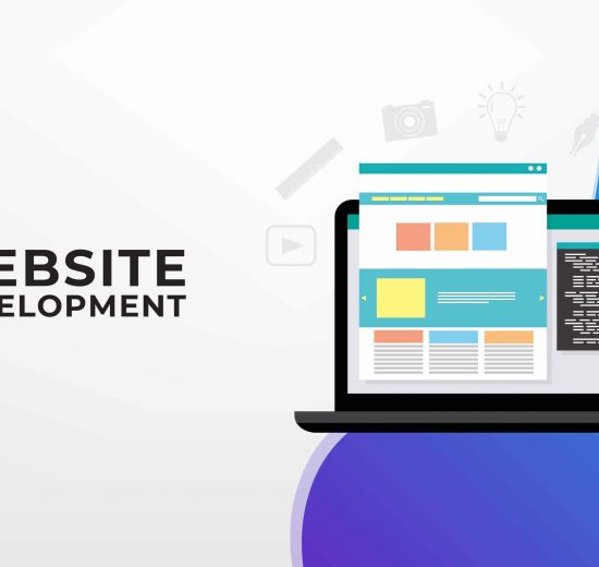 B2Evolution Web Development Company in India
