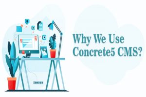 Concrete5 Development Company